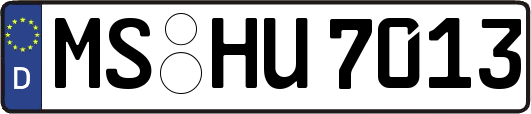 MS-HU7013