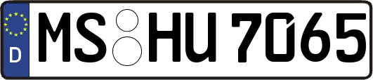 MS-HU7065