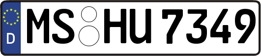 MS-HU7349