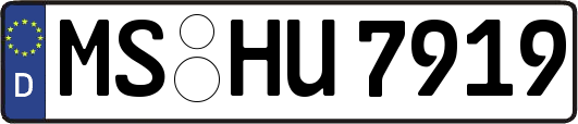 MS-HU7919
