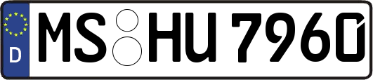 MS-HU7960