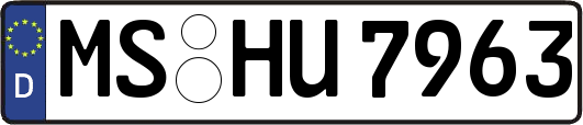 MS-HU7963