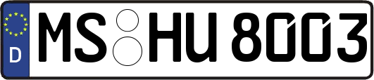 MS-HU8003