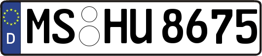 MS-HU8675