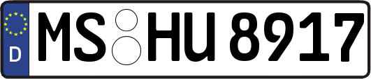 MS-HU8917