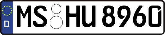 MS-HU8960