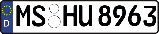 MS-HU8963