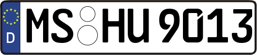 MS-HU9013
