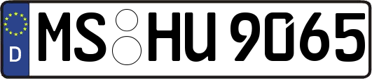 MS-HU9065