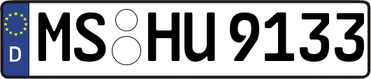 MS-HU9133