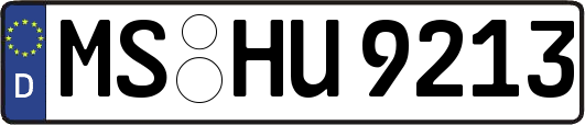 MS-HU9213