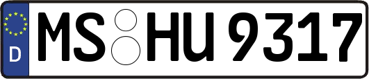MS-HU9317