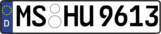 MS-HU9613