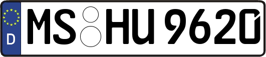MS-HU9620