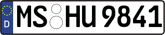 MS-HU9841
