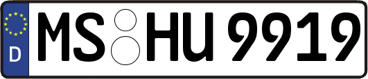 MS-HU9919