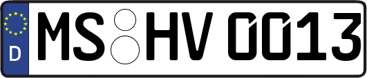 MS-HV0013