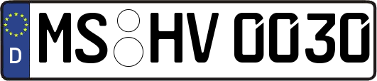 MS-HV0030