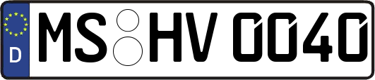 MS-HV0040