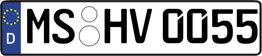 MS-HV0055