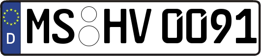 MS-HV0091
