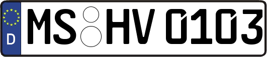 MS-HV0103