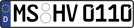 MS-HV0110