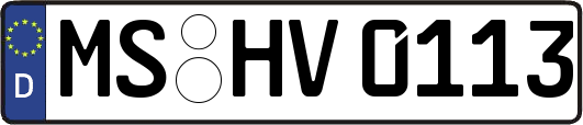 MS-HV0113