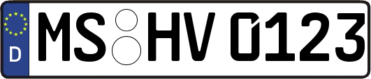 MS-HV0123