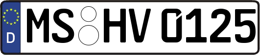 MS-HV0125
