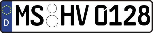 MS-HV0128