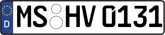 MS-HV0131