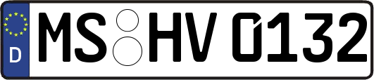 MS-HV0132