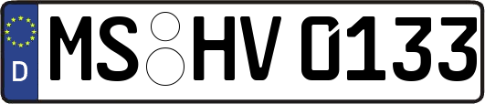 MS-HV0133