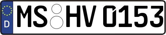MS-HV0153