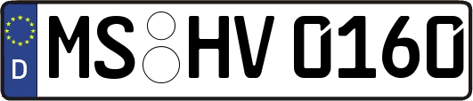 MS-HV0160