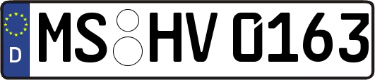 MS-HV0163
