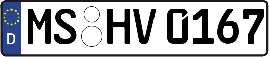 MS-HV0167