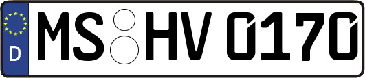 MS-HV0170