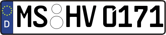 MS-HV0171