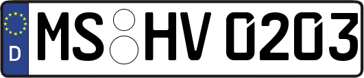 MS-HV0203
