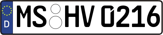 MS-HV0216