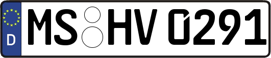 MS-HV0291