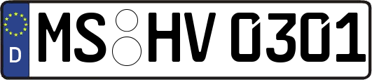 MS-HV0301