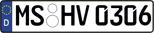 MS-HV0306