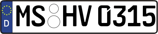 MS-HV0315