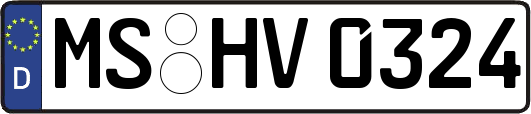 MS-HV0324