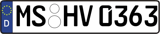 MS-HV0363