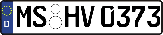 MS-HV0373
