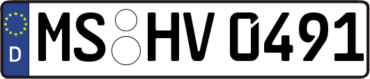 MS-HV0491